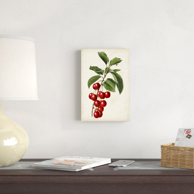 «Antique Fruit II» par Vision Studio - peinture sur toile tendue, H 18 po x l 12 po x P 1,25 po
