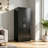 Black Gun Safe for Home Rifle and Pistol, Fingerprint Electronic Security Safe with Quick Access, Detachable Partition, No Assembly Required-135963915