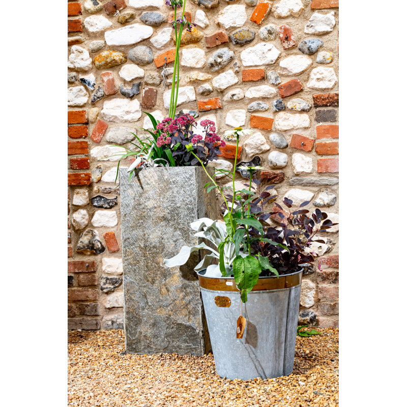 Cassandra Metal Cachepot, 50cm H x 50cm W x 50cm D