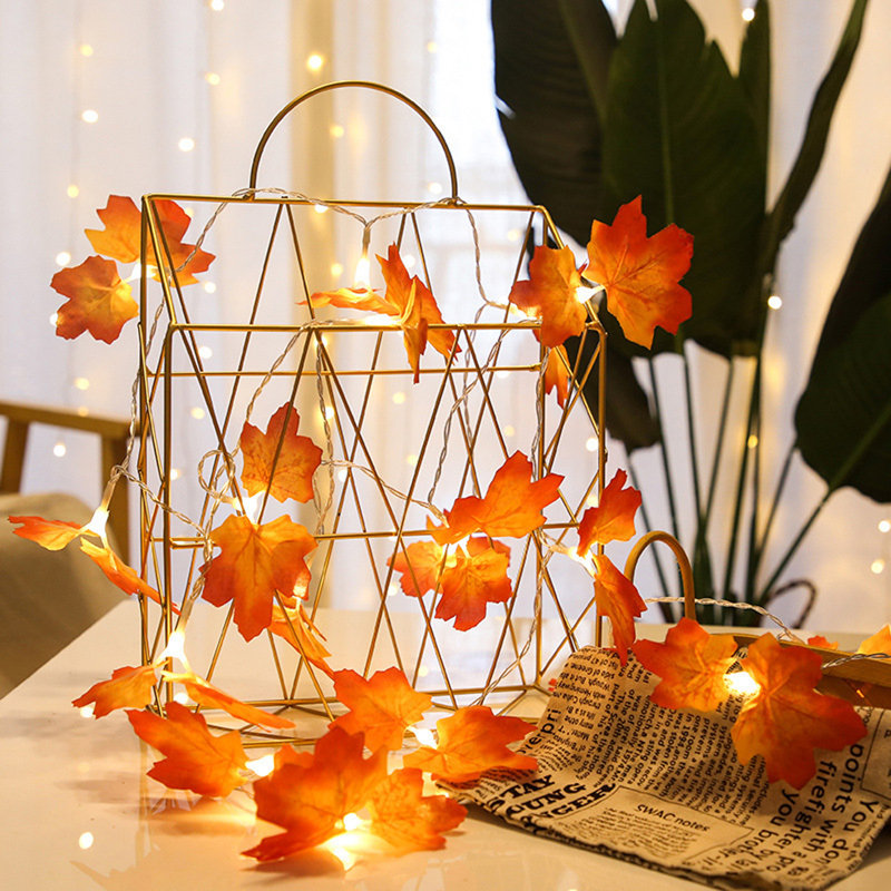 Birgit 0.5' Outdoor LED Battery Powered 1 Novelty String Light