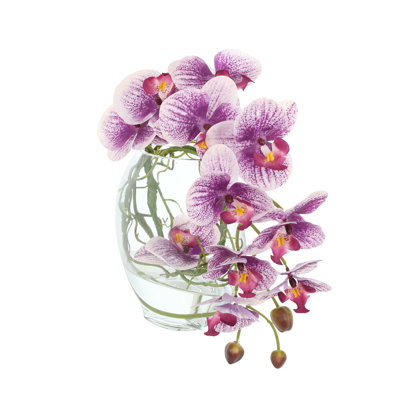 Orchid and Vine Arrangement in Glass Vase
