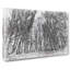 Never Ending Forest In Italy - Wrapped Canvas-56642247