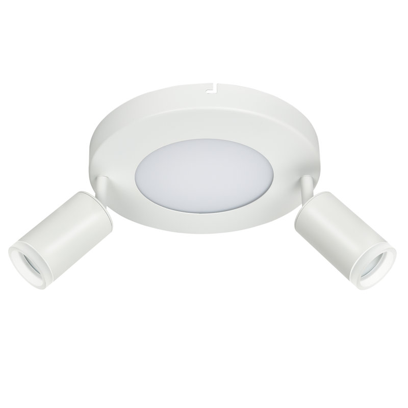 Shareese Spotlight, White/Matt