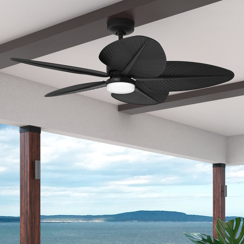 Hunter 52 inch Tropic View Damp Rated Ceiling Fan with Lights and Wall Control, Black