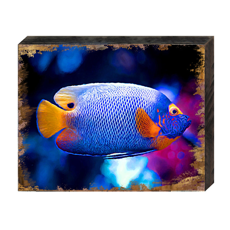 Ensemble de bois de poisson tropical Speedwell, H 9 po x l 12 po x P 1 po