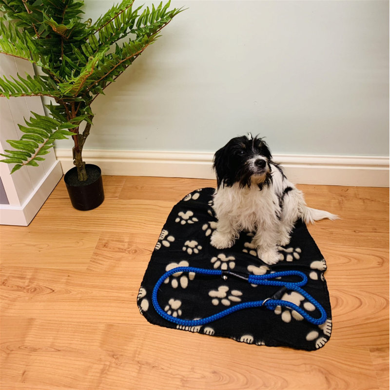 Paw Print Fleece Throw, Black, W70 x L80cm