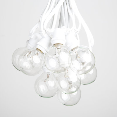 Indoor / Outdoor 20 - Bulb 300 in. Plug-in LED Globe String Light
