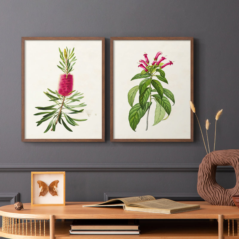 Pretty Pink Botanicals VII-Premium Framed Print -Ready to Hang - No Nails Required - No Nails Required, Walnut, 15" H x 24" W