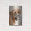 «Boxer» par Janet Pidoux-1553116449