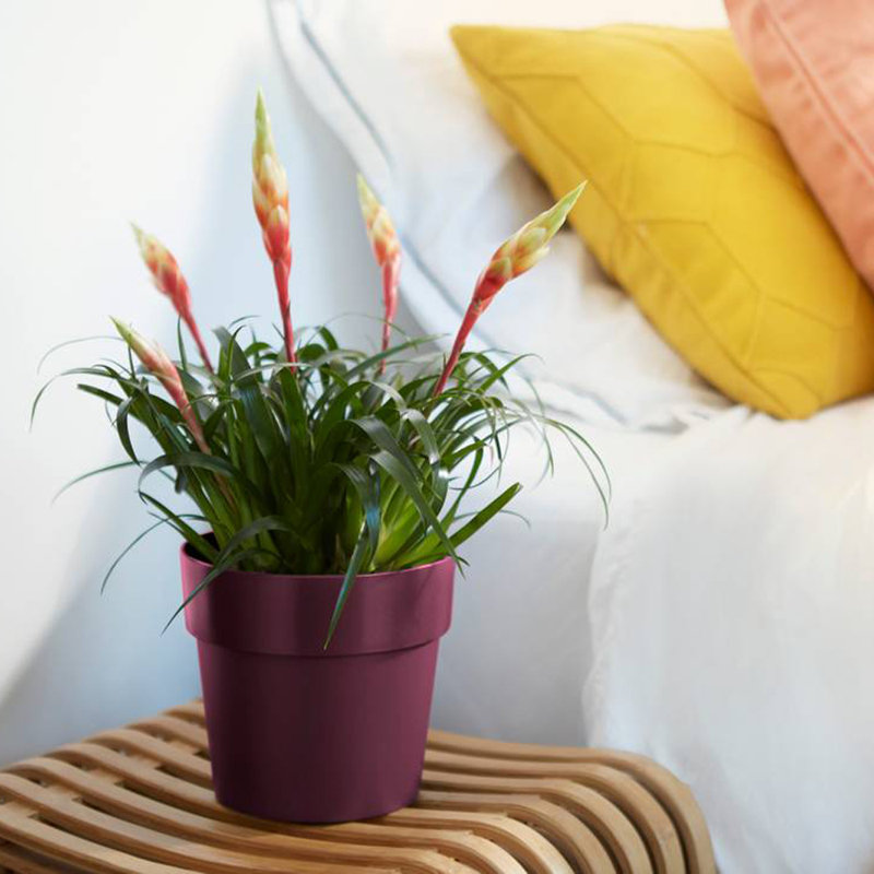 Plant Pot Nude 18 x 17cm 2.9 L, Mulberry, 18cm H x 17cm W x 17cm D
