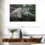 Jaguar aux yeux verts-107505882