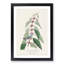 Blue Green Warbler Bird by John Audubon - Framed Print-55544306-55544309