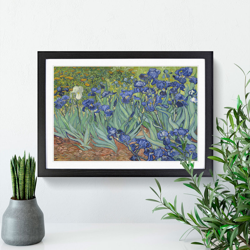 Irises by Vincent Van Gogh - Picture Frame Painting, 65cm H x 90cm W x 2cm D, Black