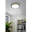 Dhirren LED Flush Mount-1702267806