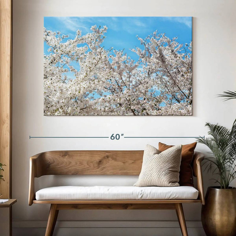 Harnek Famous Cherry Blossom Trees I