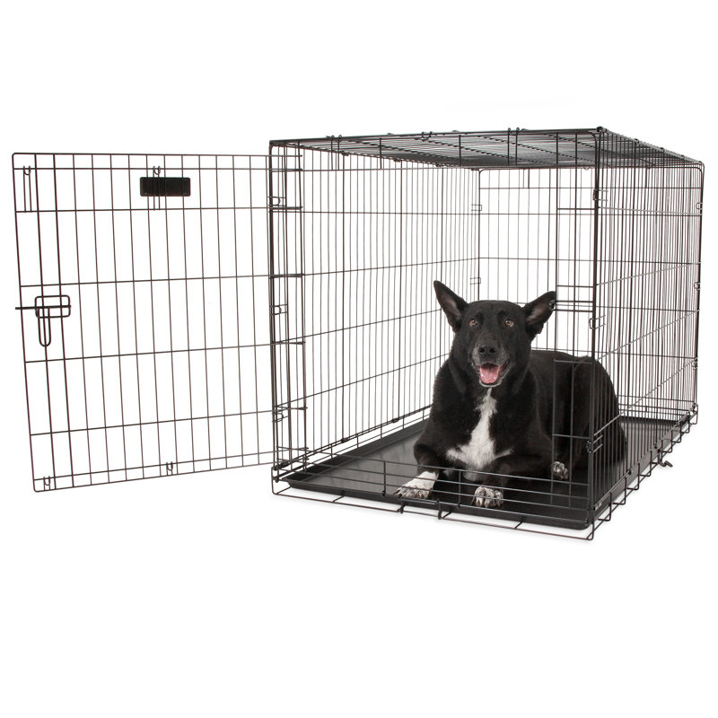 Cage pour animaux à une porte Livia, Très grand (H 32 po x l 30 po x P 48 po)