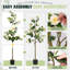 Arbre de camélia artificiel 5 pi, paquet de 2, avec fleurs en fleurs et tronc de bois naturel-131431026-131431029