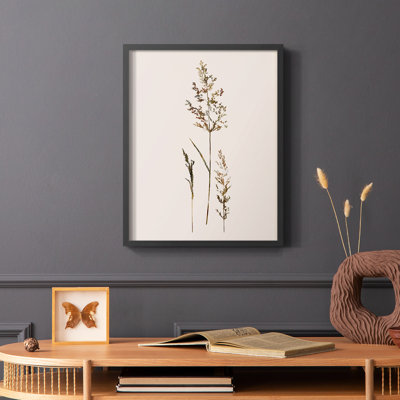 Delicate Stems II Framed Print - Solid Wood