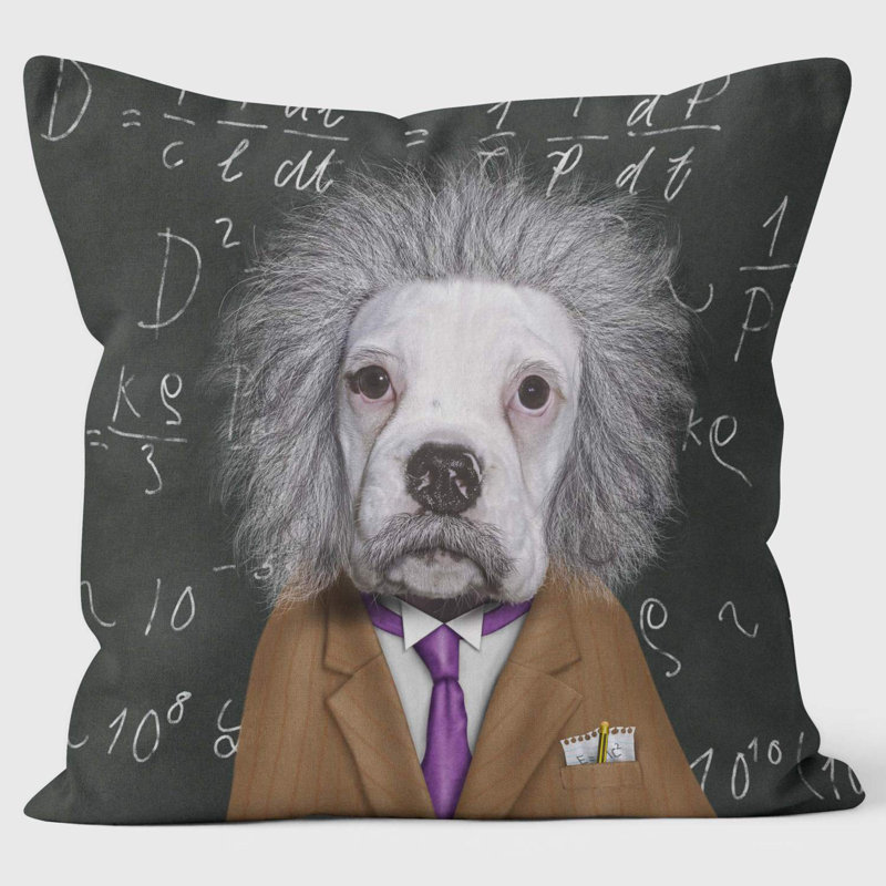 Brain - Pets Rock Cushion