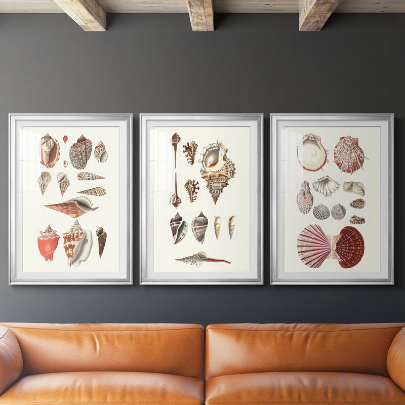 Shell Collection IV - reproduction sur mesure encadrée de qualité supérieure - 3 pièces, H 21 po x l 30 po, Argent argent