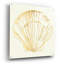 «Coastal Breeze Shell Sketches 5» par Anne Tavoletti, art mural en verre acrylique-721250517