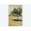 « a ensoleillé day », impression sur toile-74550978-74550981-74586353