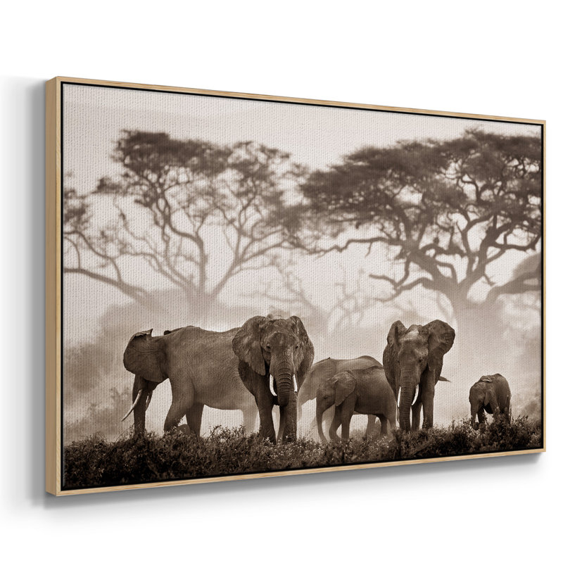 Amboseli National Park, reproduction d'art sur toile, H 25 po x l 37 po x P 2 po, Naturel