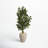 53'' Faux Ficus Tree in Earthenware Planter