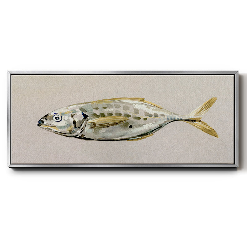 Fresh Fish Study II- Framed Canvas, 20" H x 50" W