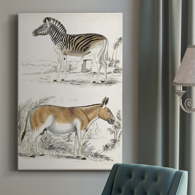 Journal Of Natural History IV " Journal Of Natural History IV " Painting Print