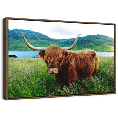Brampt Fluffy Highland Cow