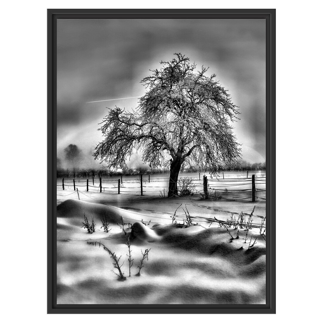 Gerahmtes Wandbild Baum in Winterlandschaft