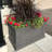 Anastasiya 20'' H x 36'' W Double-Walled Polyethylene Self-Watering Pot Planter-1103441261