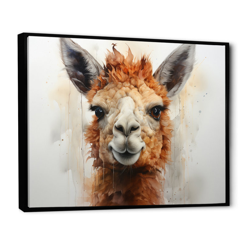 Alpaga Curious Alpaca - imprimé, Cadre flottant noir, H 16 po x l 32 po x P 1 po