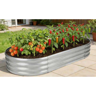 Jardinière surélevée galvanisée pour jardin, jardinière ovale en métal résistant à la pourriture 5 pi