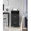 43cm Wide 2 -Drawer Mobile File Cabinet-378901499