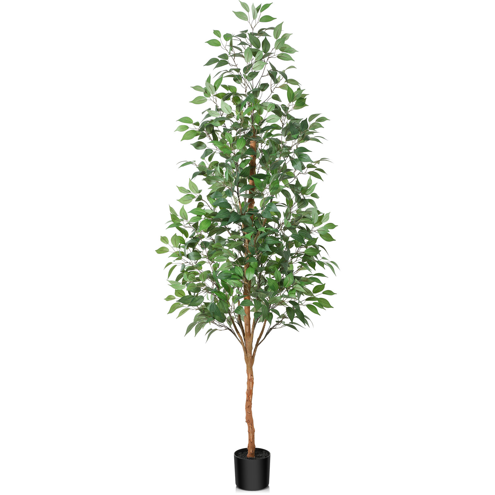 Adcock Ficus Tree in Pot, 82" H x 20" W x 20" D