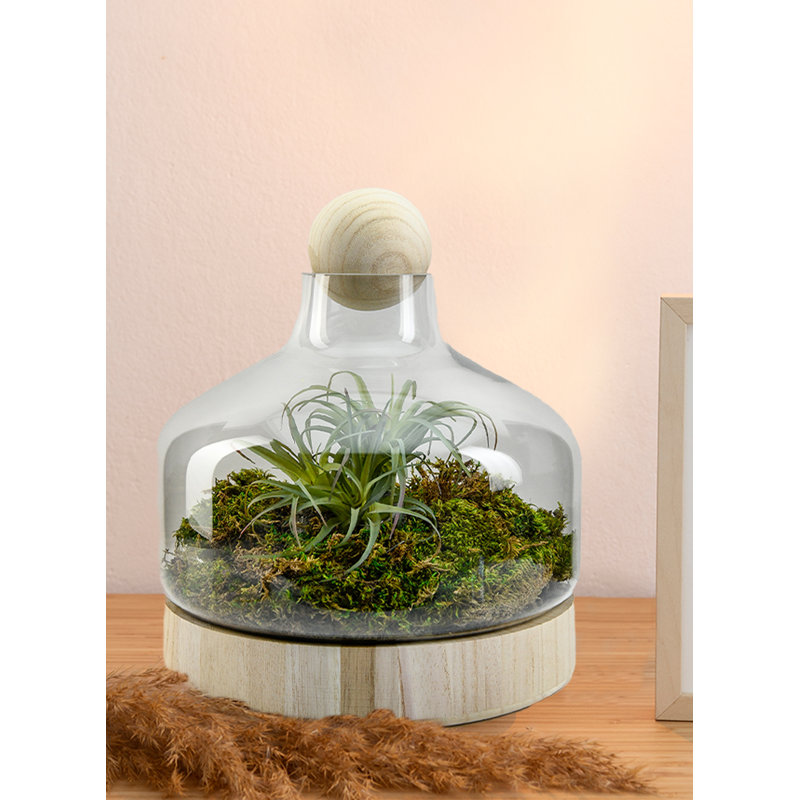Vase de table en verre Valena, Grand