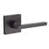 Privacy Door Lever