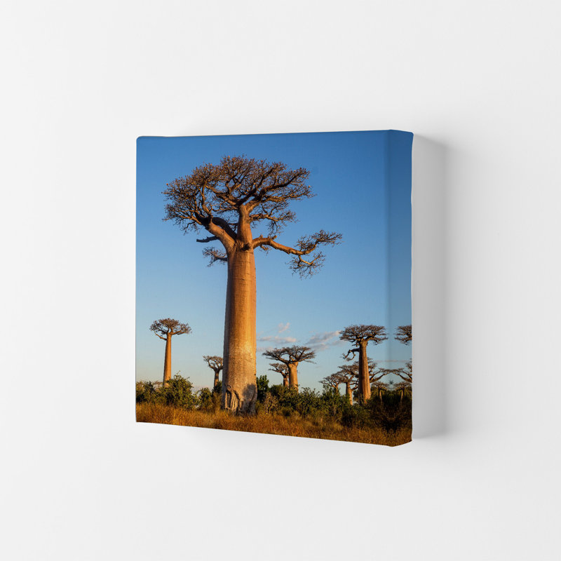 Giants by Karsten Wrobel - Print on Canvas, Wrapped Canvas, 42cm H x 29.7cm W x 4cm D