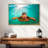Maui Green Turtle-1697363049-1697363050