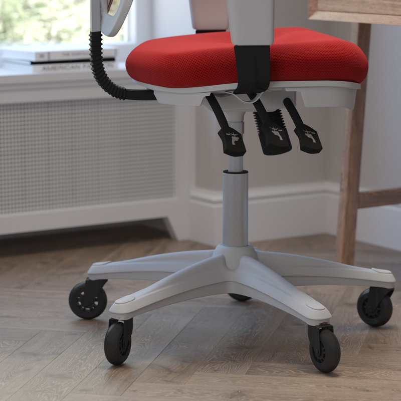 Chaise ergonomique , Gris, Blanc