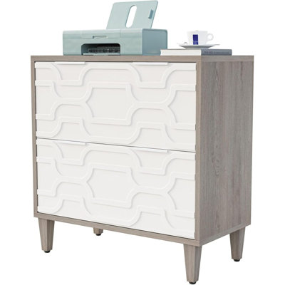 2-Drawer File Cabinet, Lateral Filing Cabinet For A4/Letter/Legal Size, Office Storage Cabinet, Printer Stand With Storage Drawer For Home Office, White & Gray