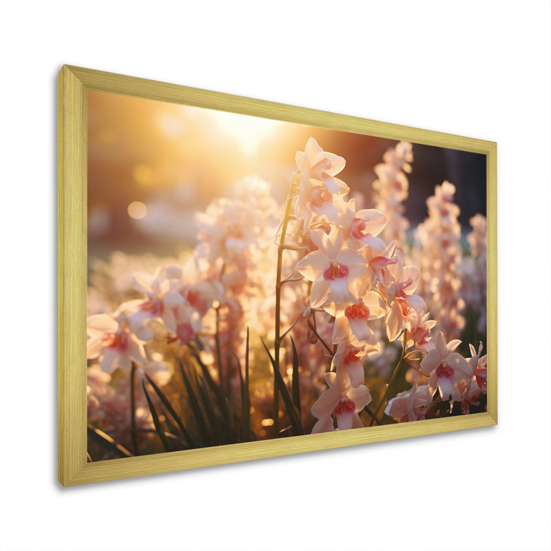 Champ d'orchidées blanches avec coucher de soleil sur toile, H 12 po x l 20 po x P 1 po, Encadrement doré