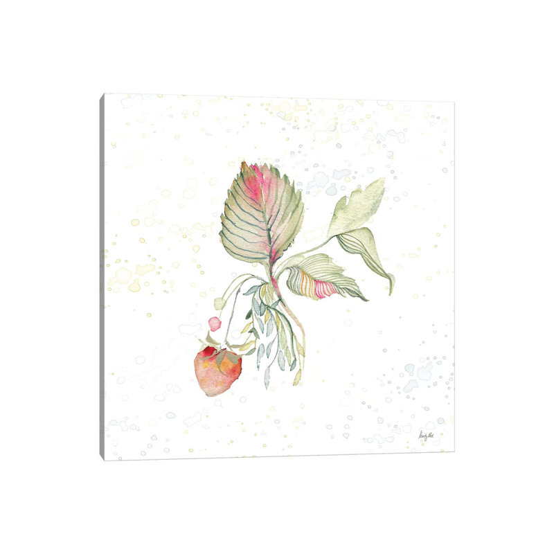Botticelli Plants V by Kristy Rice - Wrapped Canvas Gallery-Wrapped Canvas Giclée, 45.72 cm H x 45.72 cm W x 1.91 cm D