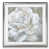 Silver Framed