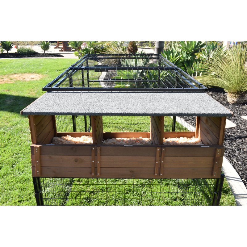 Polk 12.3 Square Feet Chicken Coop with Chicken Run For Up To 4 Chickens