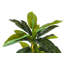 135cm Faux Banana Leaf Plant in Pot