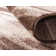 Cotati Abstract Indoor Rug