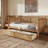 Traditional Style Rattan Daybed With 2 Drawers For Guest Room-997142735-997142733